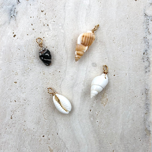 Real Shell Charms