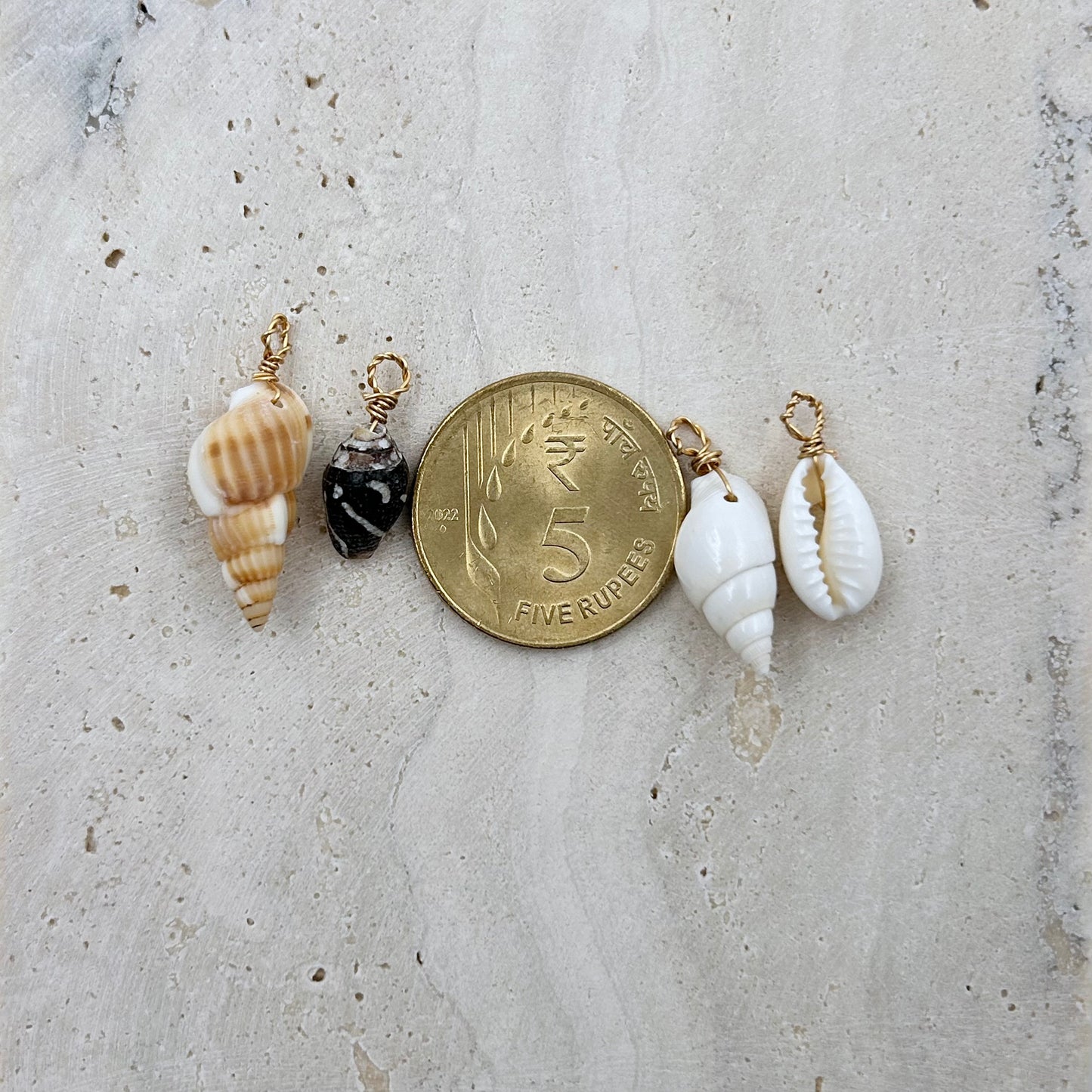 Real Shell Charms